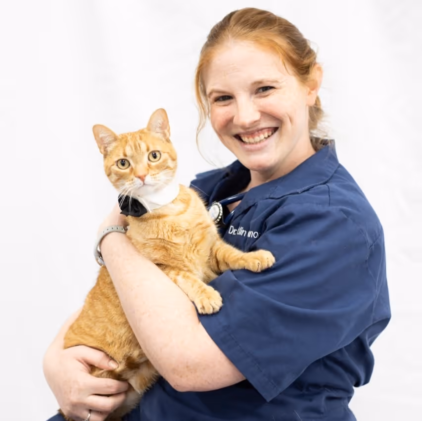 staff profile