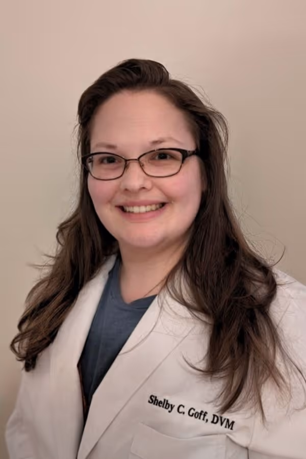 staff profile