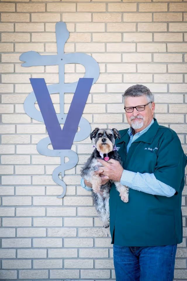 staff profile