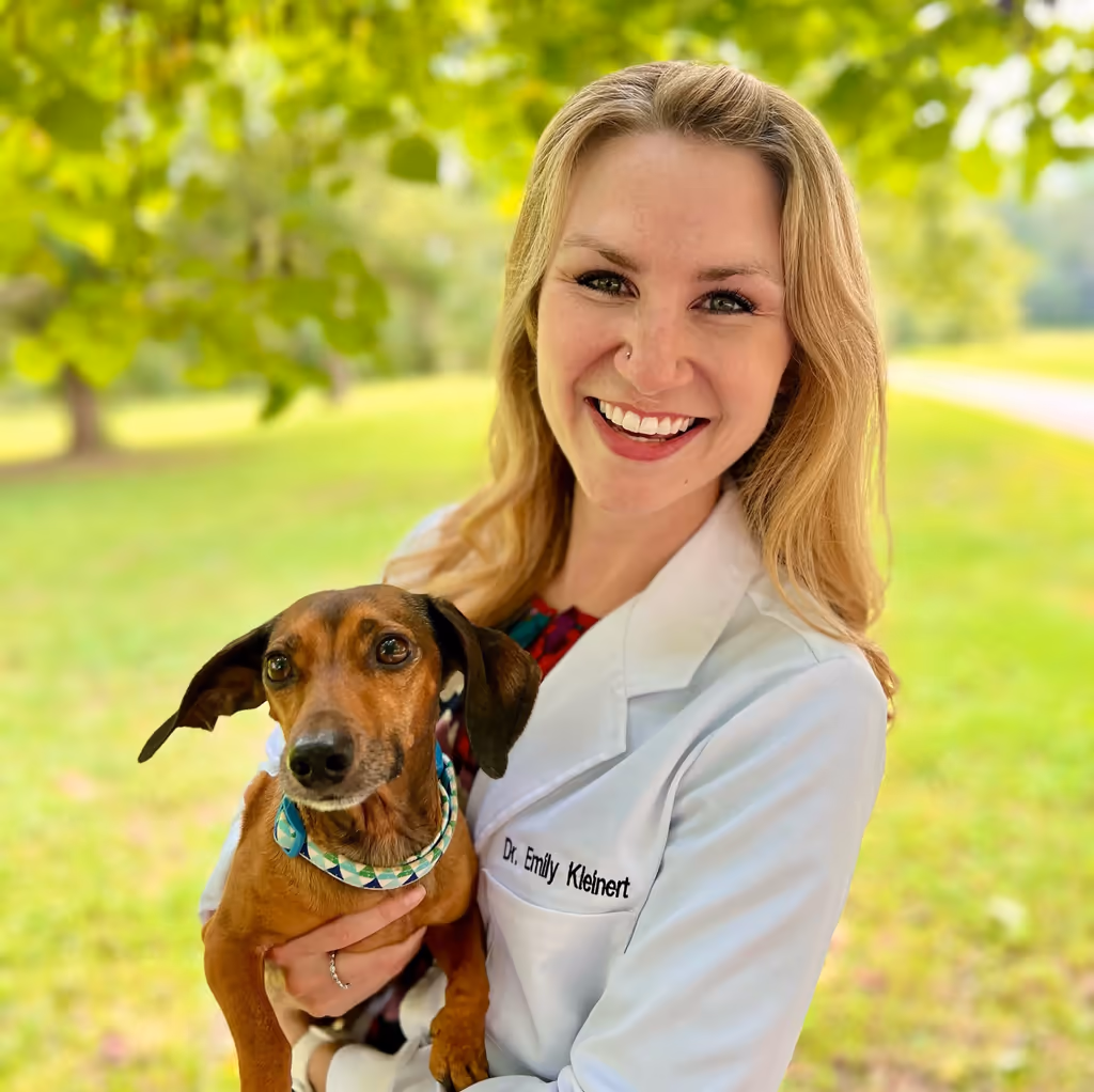 staff profile