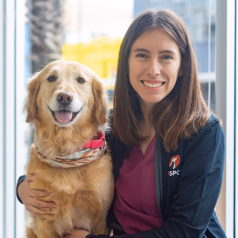 staff profile