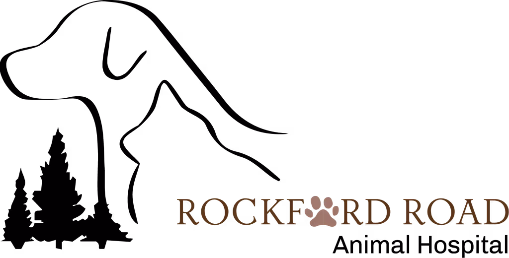 staff profile