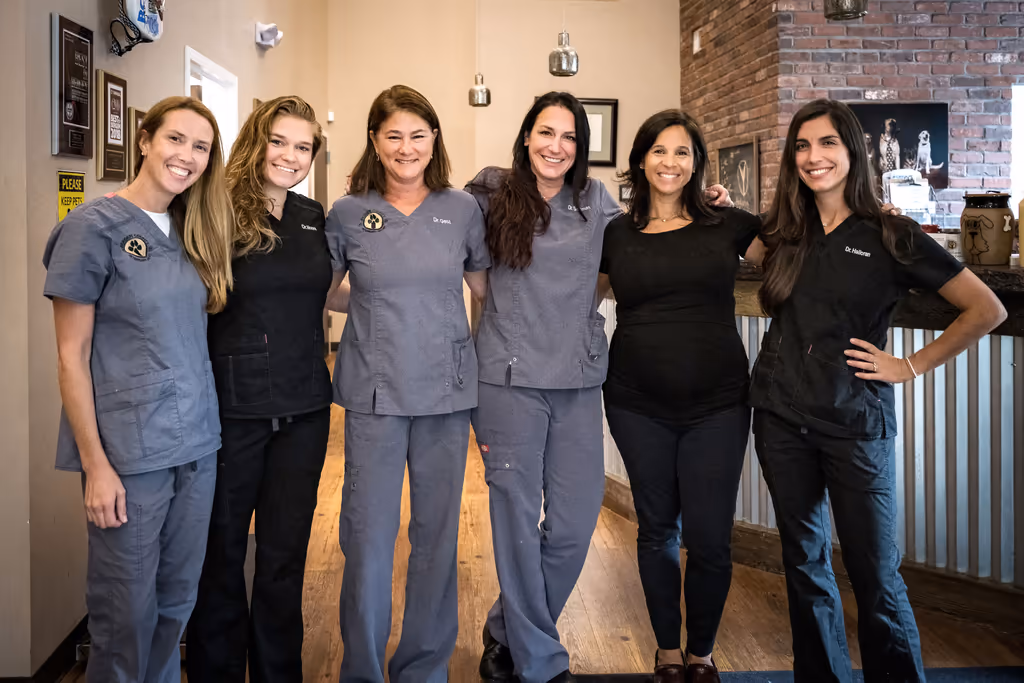 staff profile
