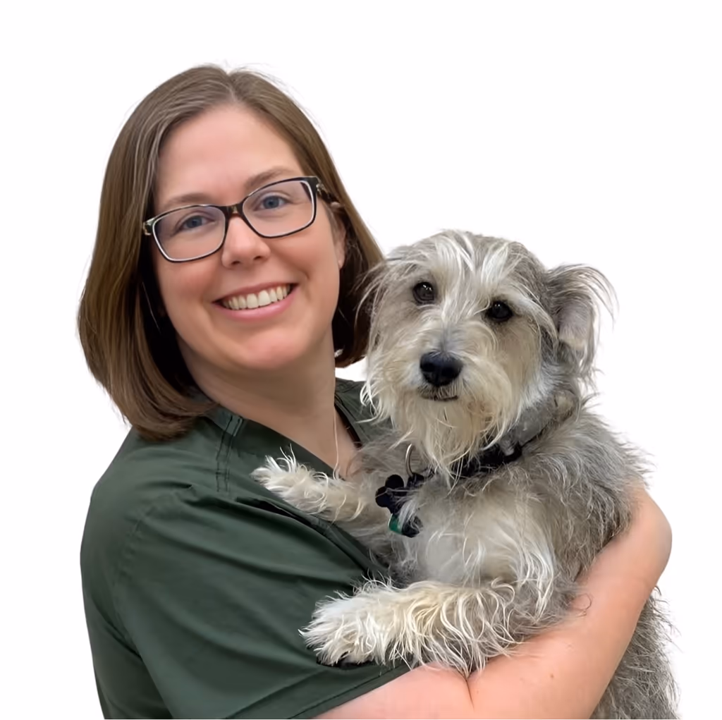 staff profile