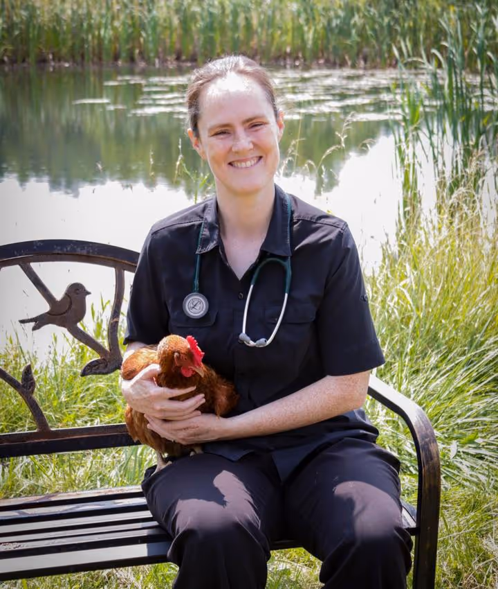staff profile