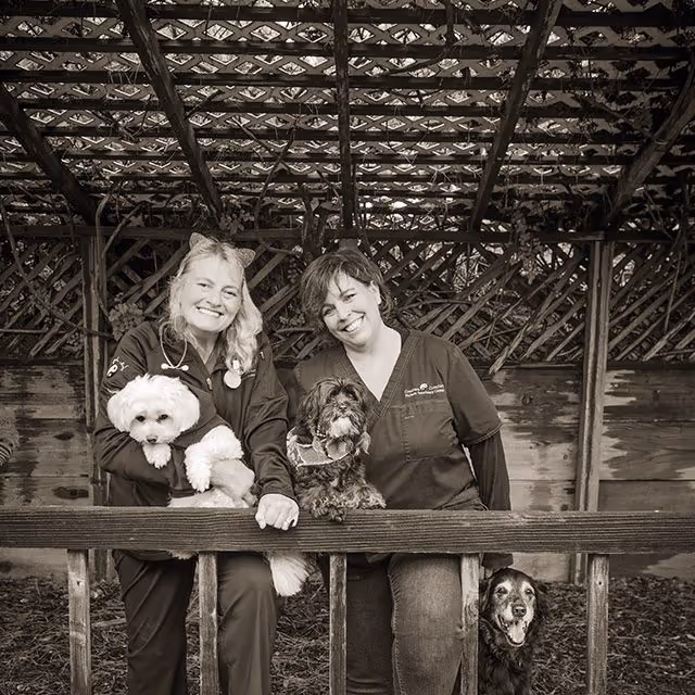 staff profile