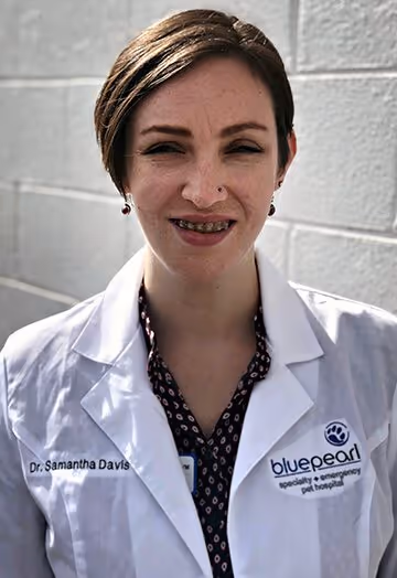 staff profile