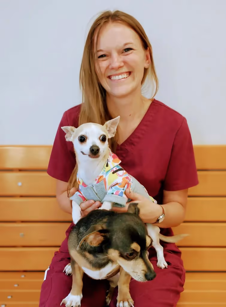 staff profile