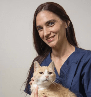 staff profile