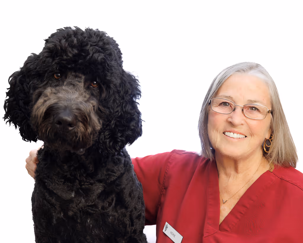 staff profile