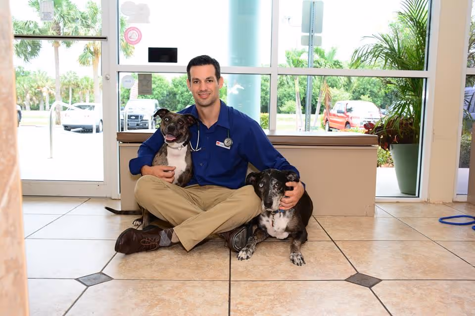 staff profile