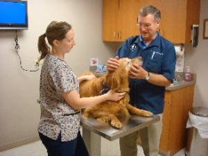 staff profile