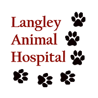 staff profile