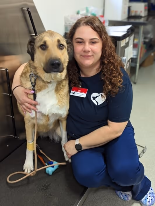 staff profile