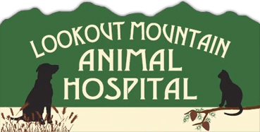 facility profile image