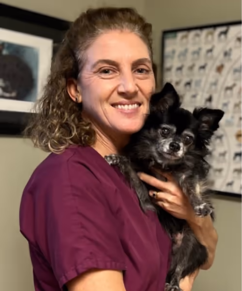 staff profile
