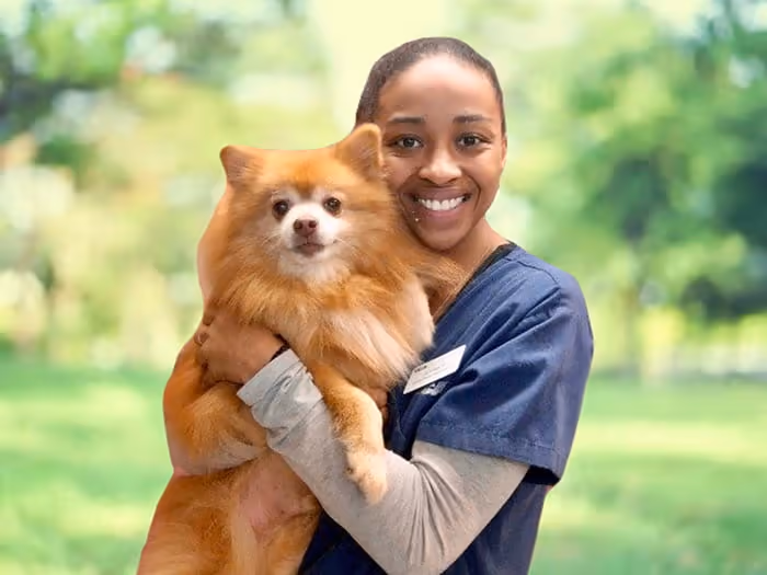 staff profile