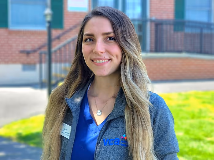 staff profile