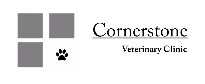 staff profile