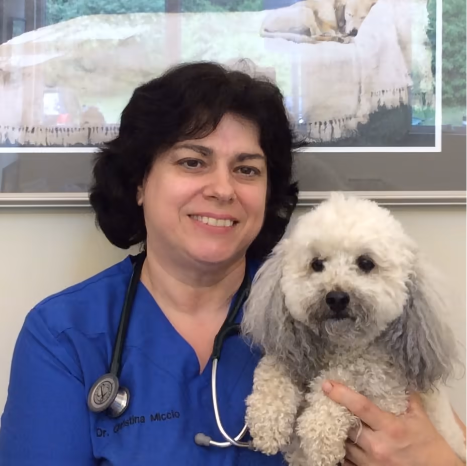 staff profile