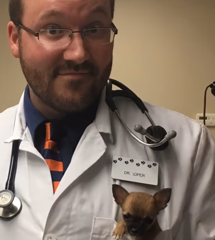 staff profile