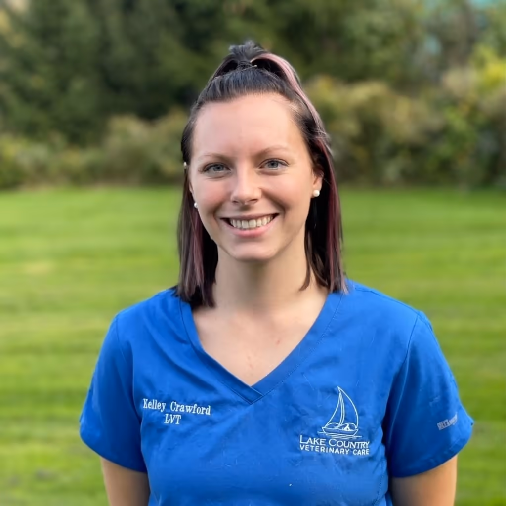 staff profile