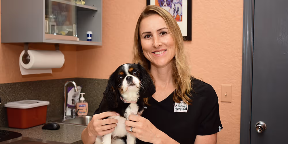 staff profile