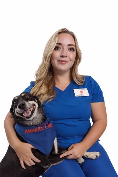 staff profile
