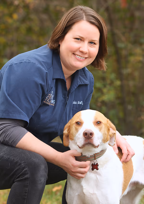 staff profile