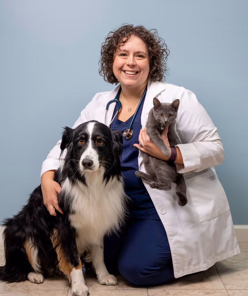 staff profile