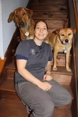 staff profile