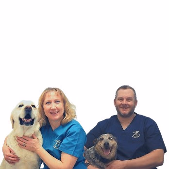 staff profile