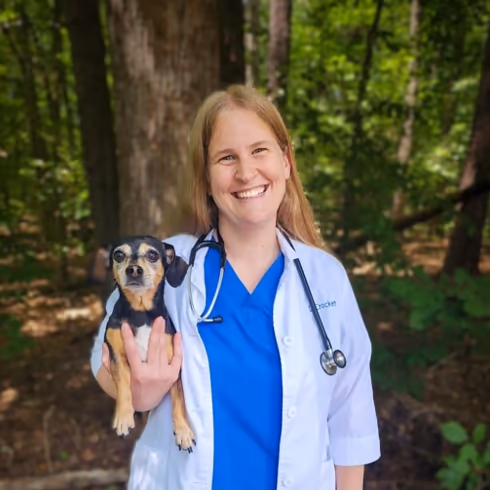 staff profile
