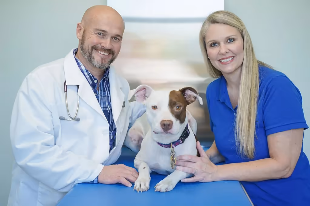 staff profile
