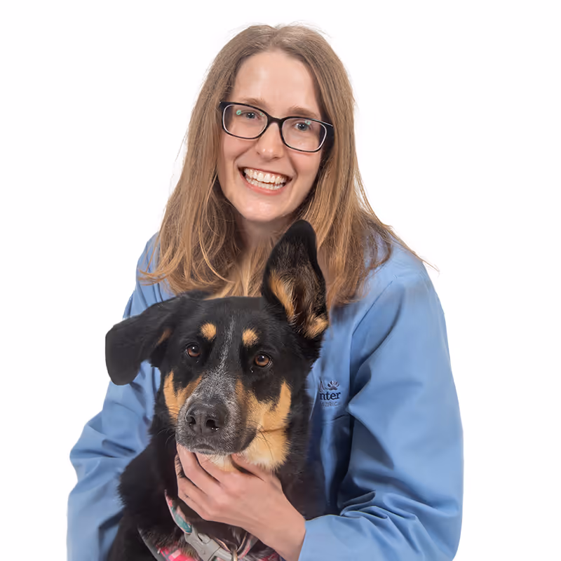 staff profile