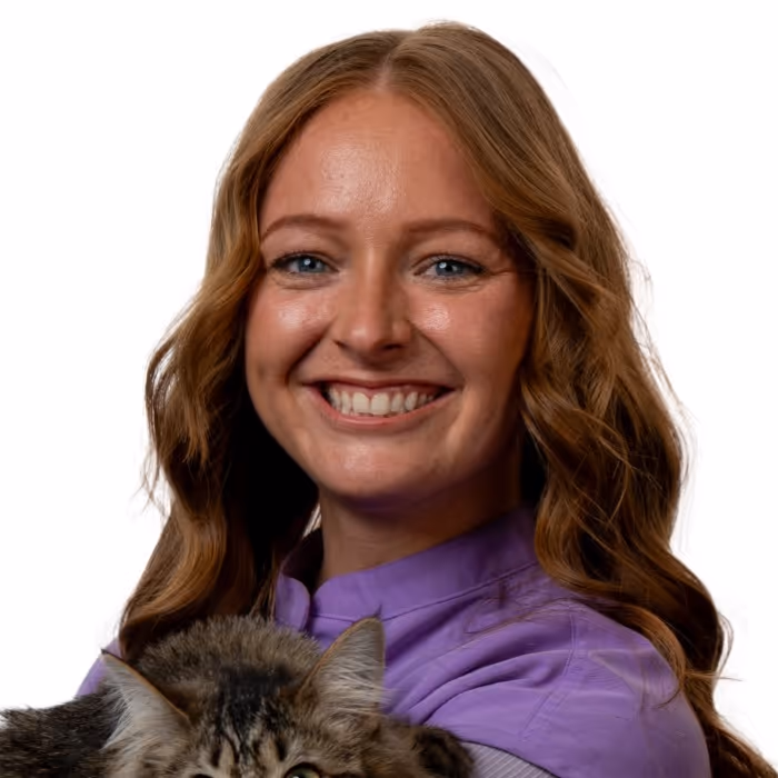 staff profile