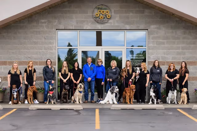 staff profile