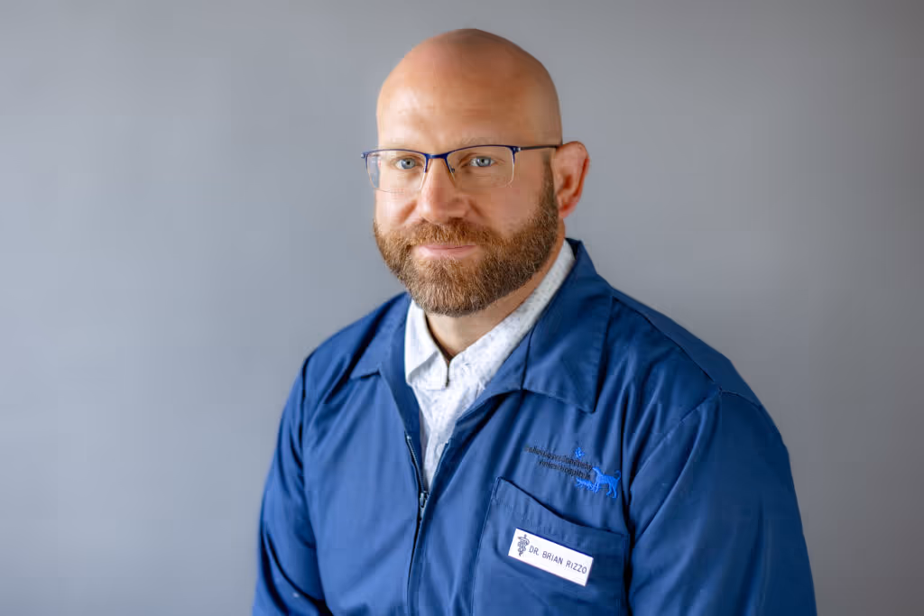 staff profile