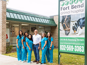 staff profile