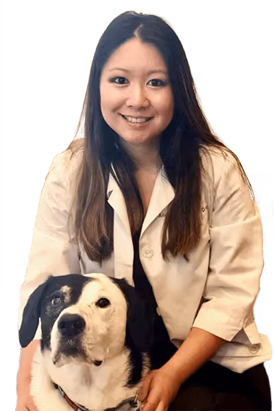 staff profile