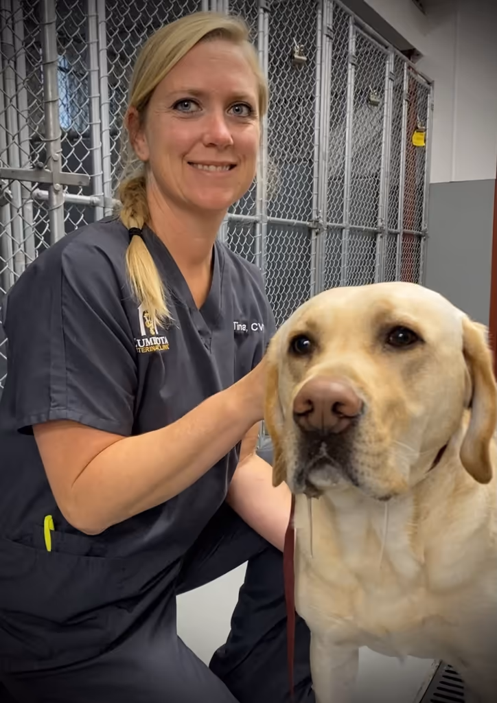staff profile
