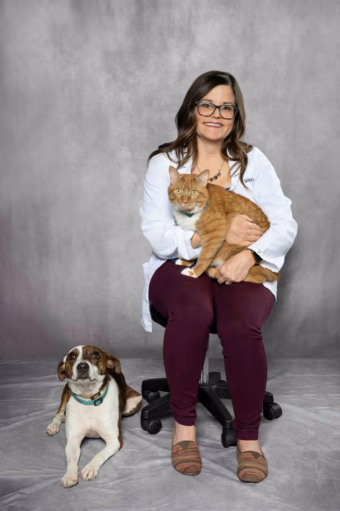 staff profile