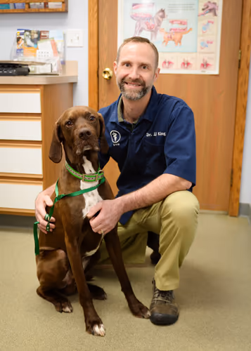 staff profile
