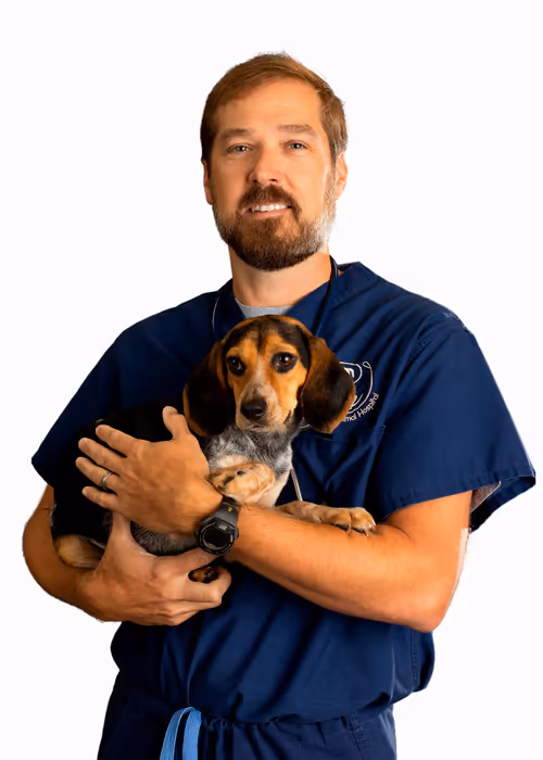 staff profile