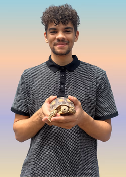 staff profile