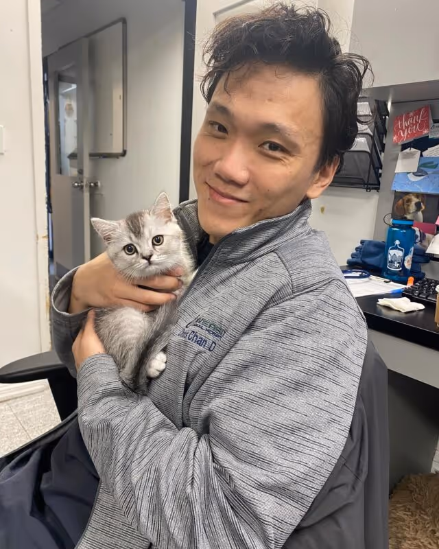 staff profile