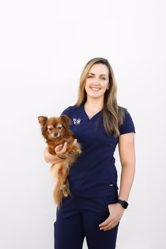 staff profile
