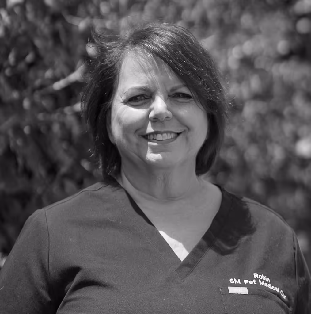 staff profile