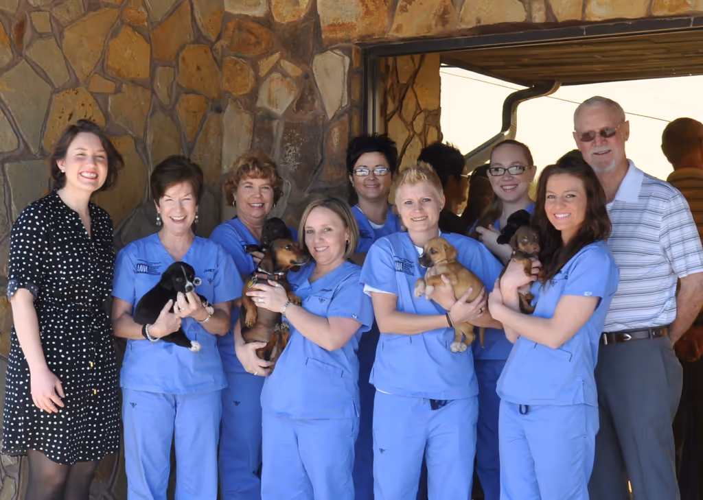 Limestone Veterinary Clinic - Pet services facility