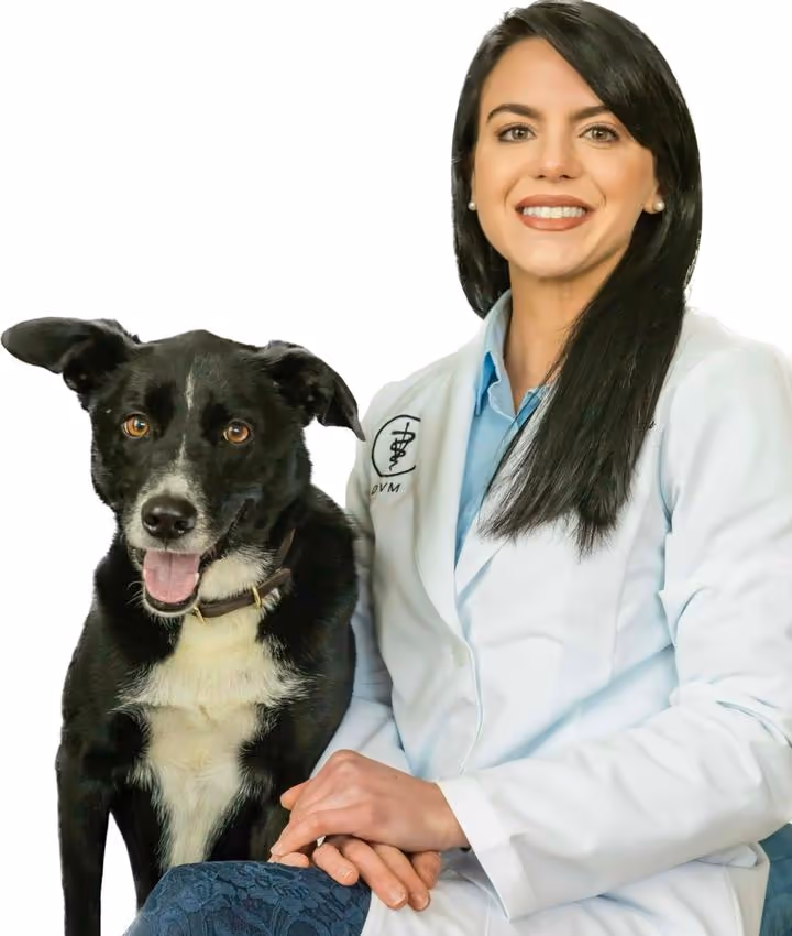 staff profile